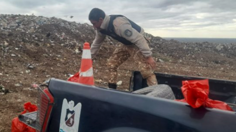 Decomisan cientos de kilos de productos cárnicos y maquinarias en Rivadavia